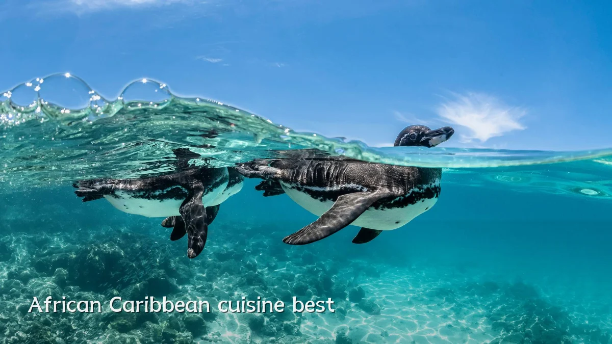 African Caribbean cuisine best