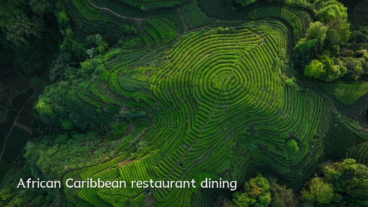 African Caribbean restaurant dining