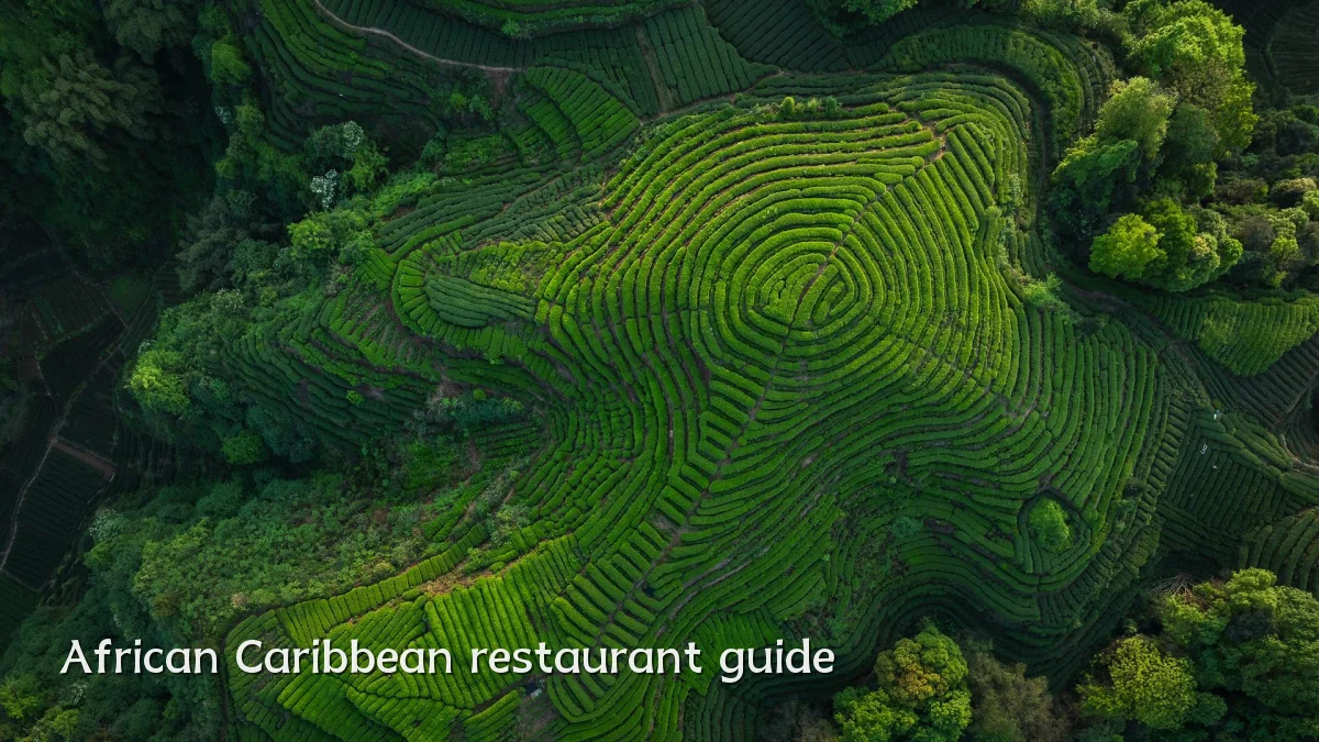 African Caribbean restaurant guide