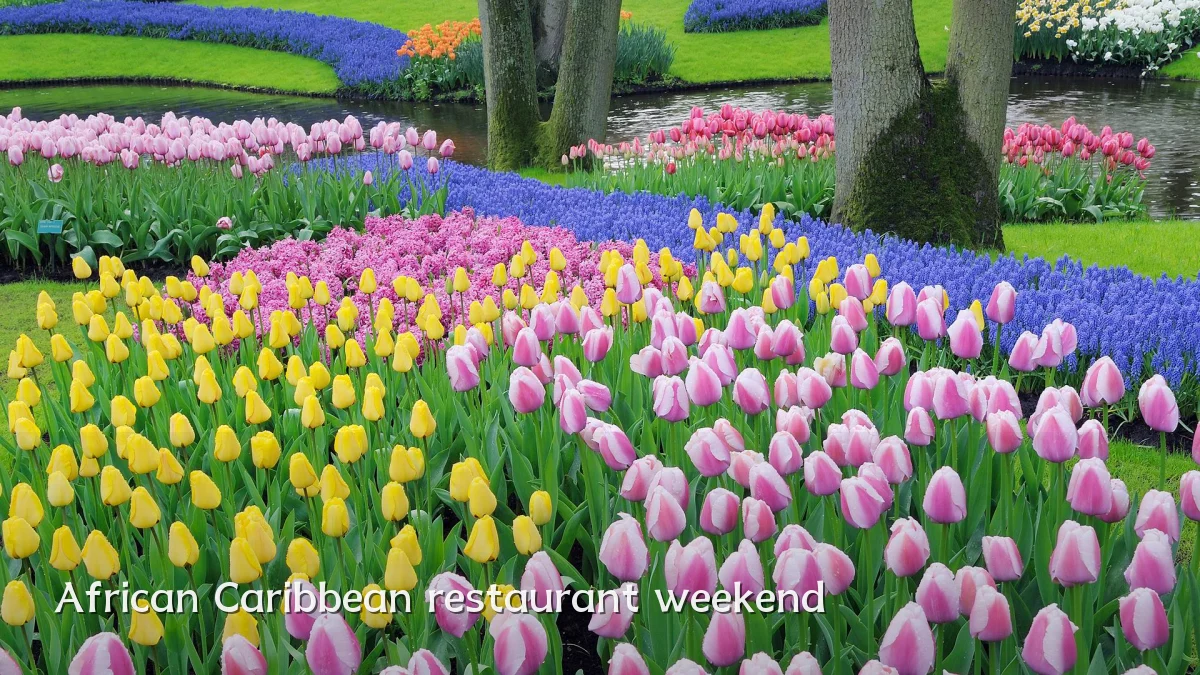 African Caribbean restaurant weekend