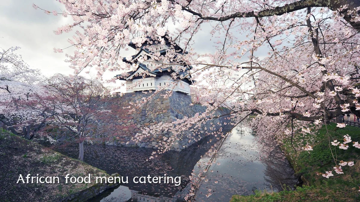 African food menu catering