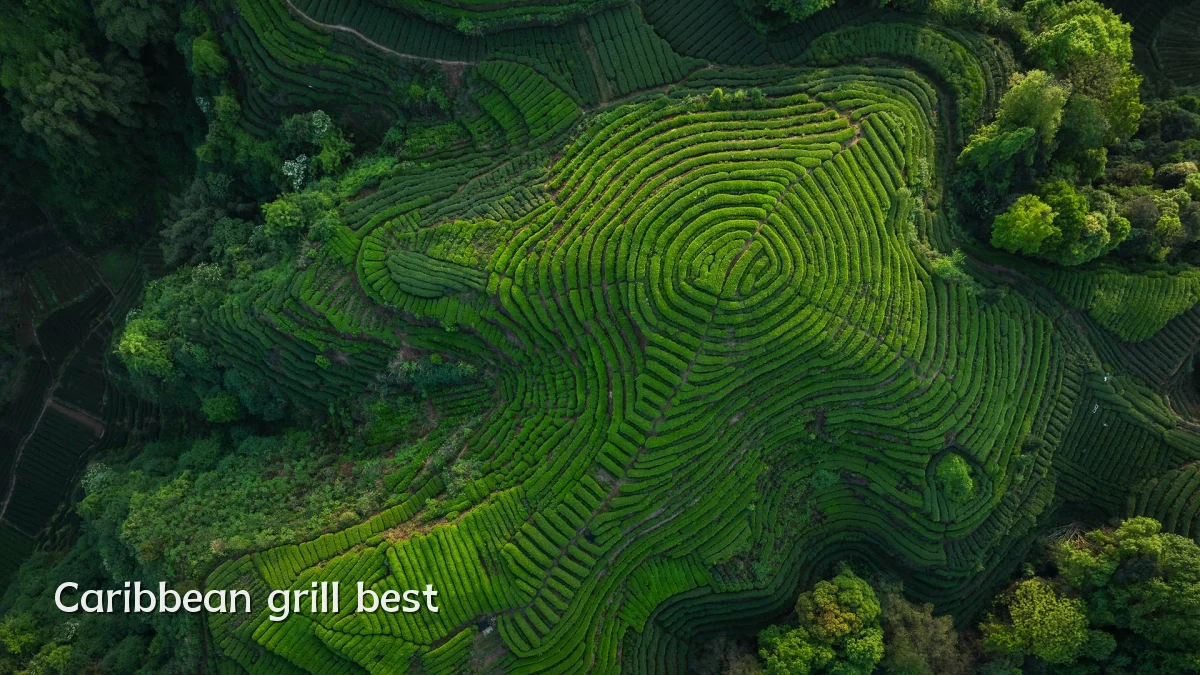 Caribbean grill best