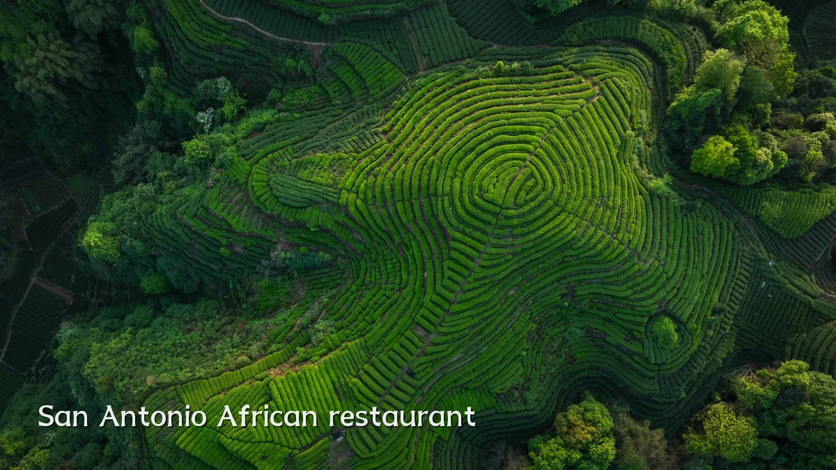 San Antonio African restaurant