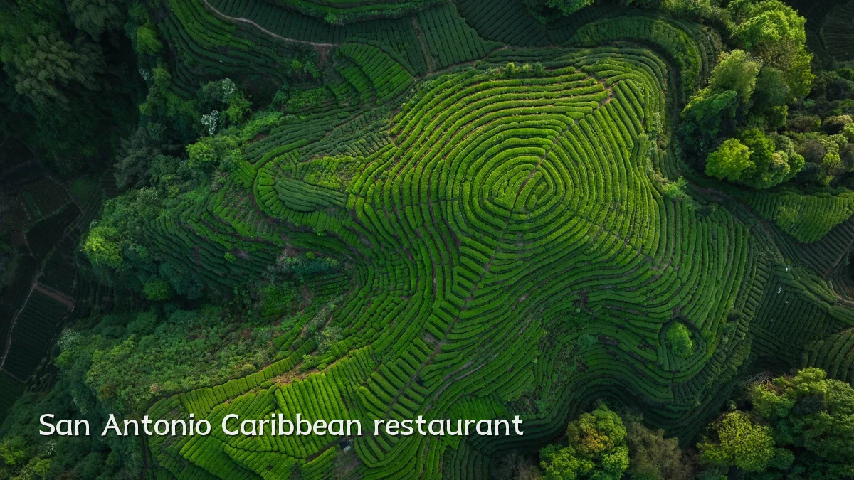 San Antonio Caribbean restaurant