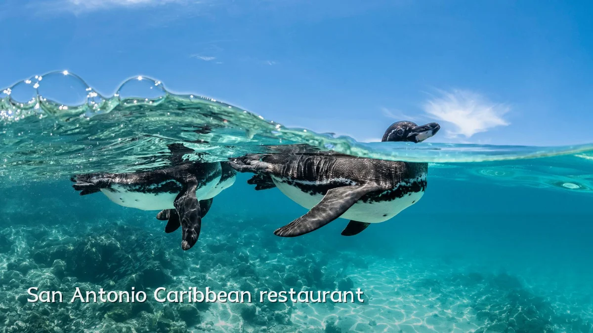 San Antonio Caribbean restaurant