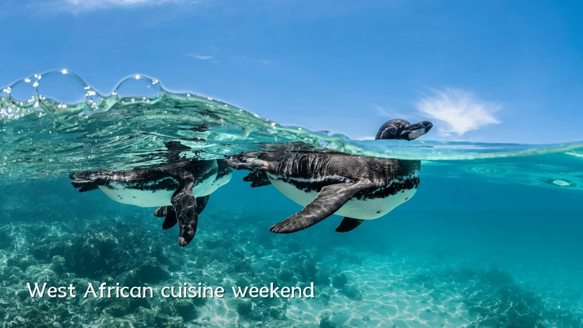 West African cuisine weekend