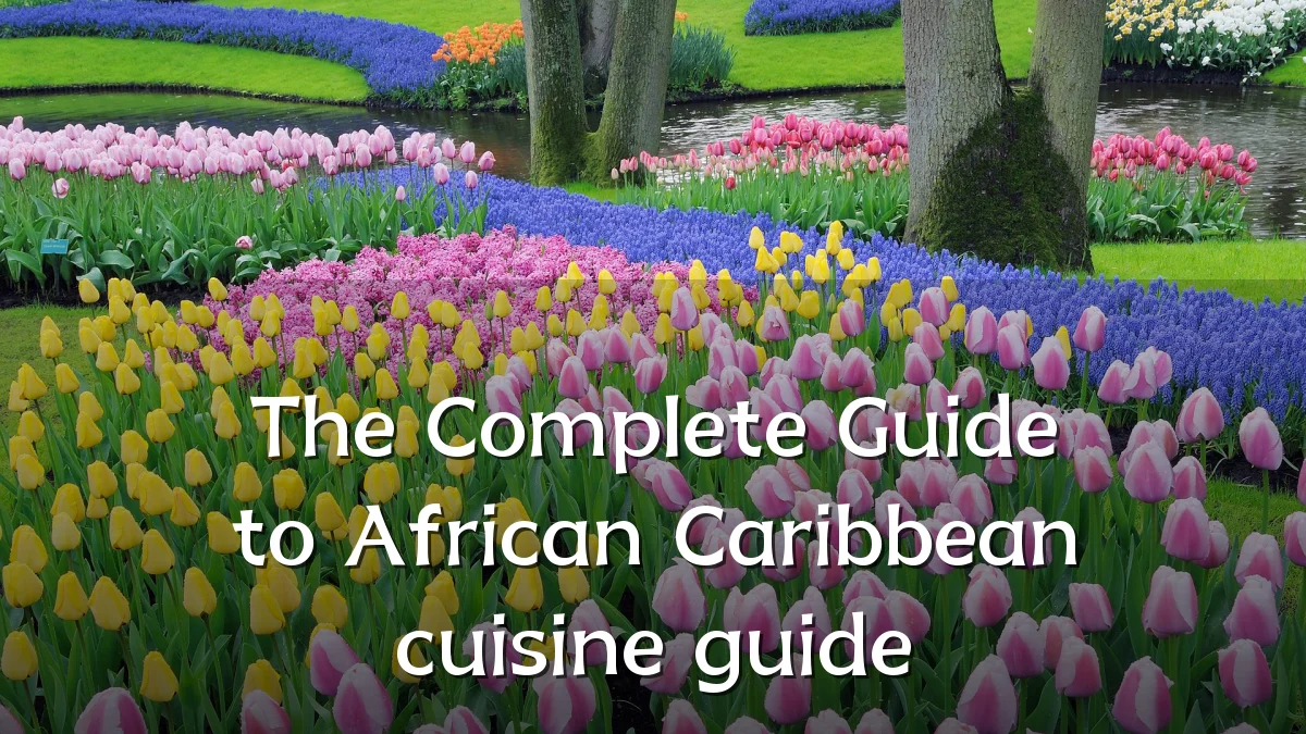 The Complete Guide to African Caribbean cuisine guide