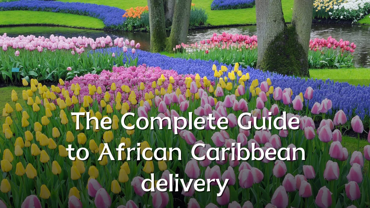 The Complete Guide to African Caribbean delivery