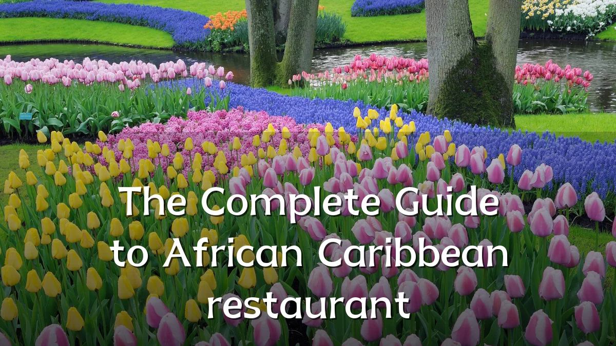 The Complete Guide to African Caribbean restaurant