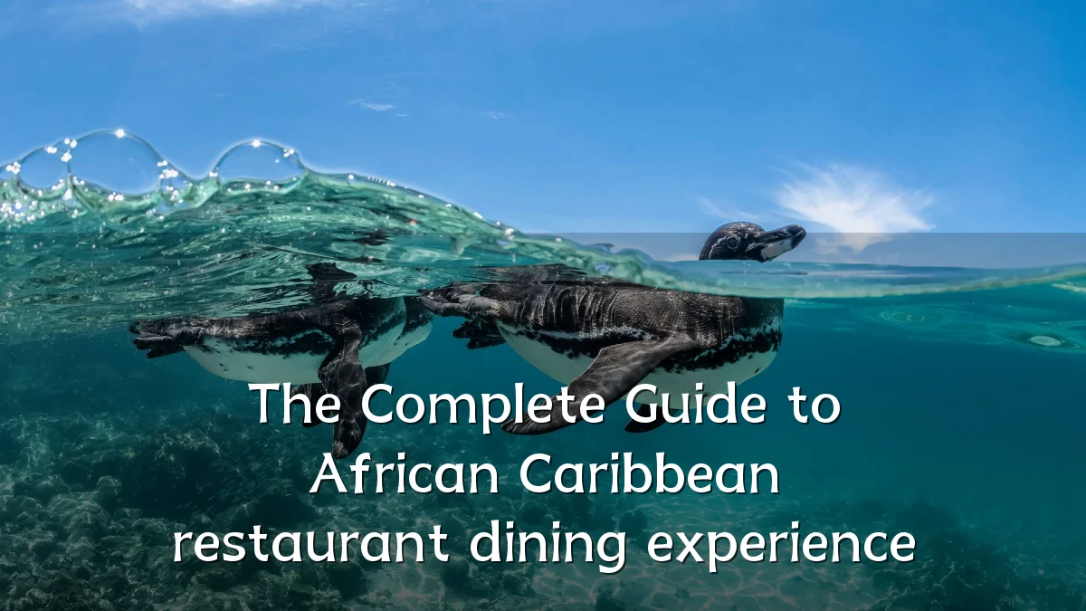 The Complete Guide to African Caribbean restaurant dining experience