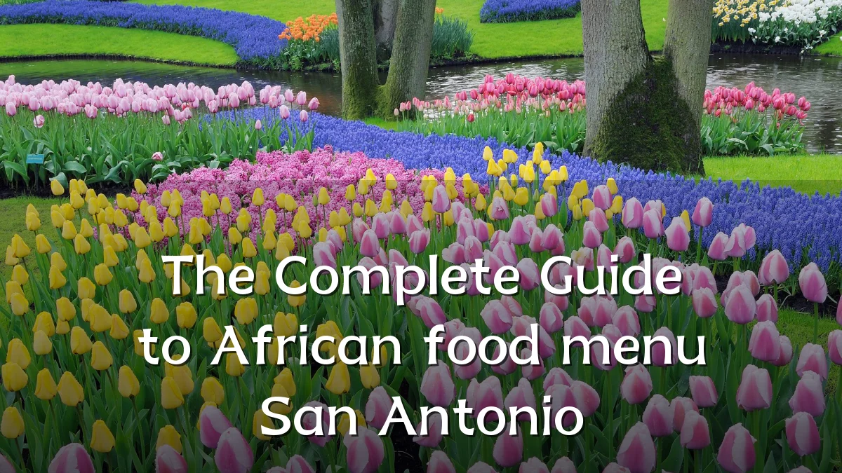 The Complete Guide to African food menu San Antonio