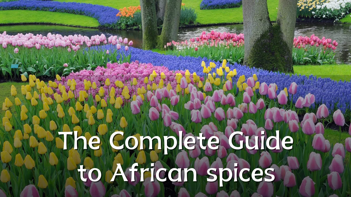 The Complete Guide to African spices