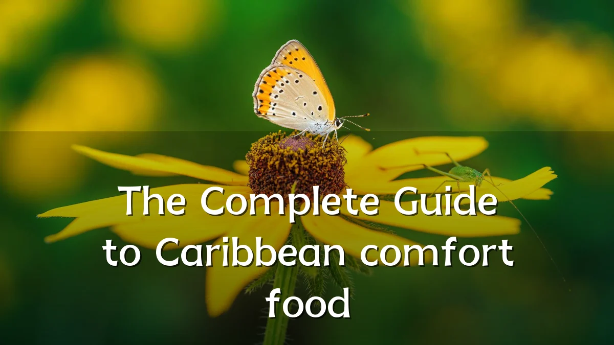 The Complete Guide to Caribbean comfort food
