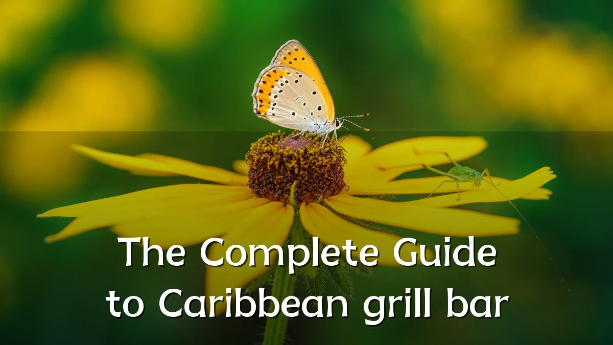 The Complete Guide to Caribbean grill bar