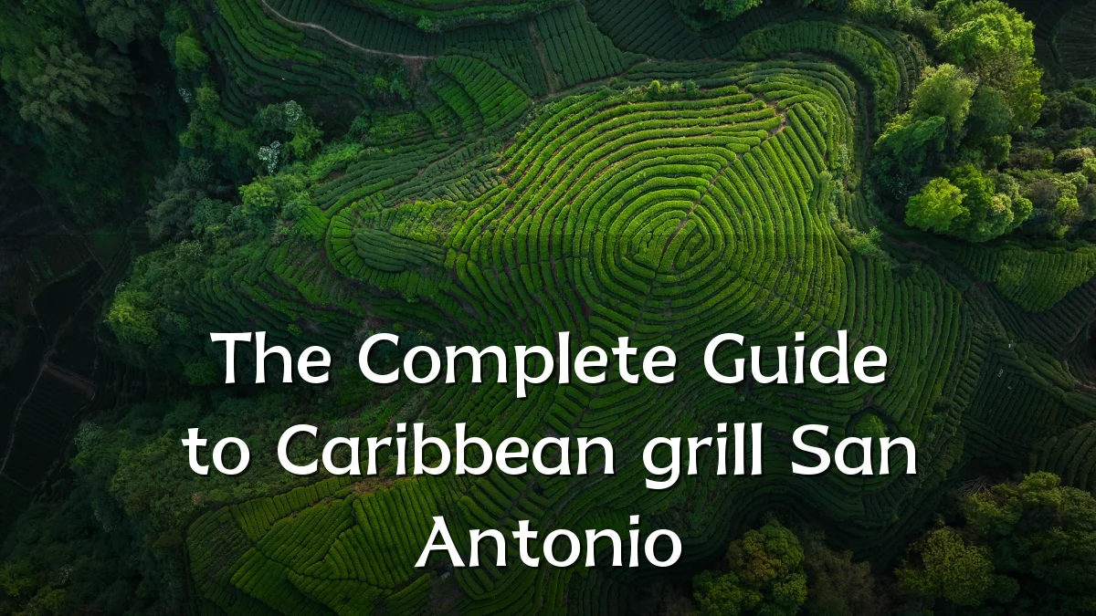 The Complete Guide to Caribbean grill San Antonio