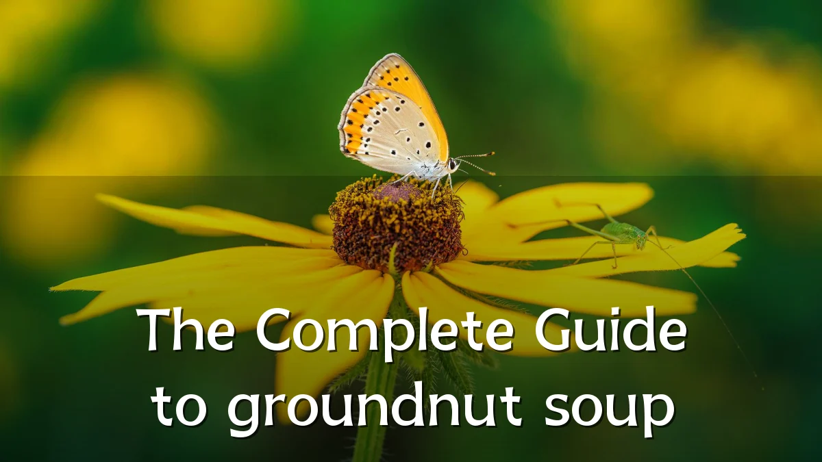 The Complete Guide to groundnut soup