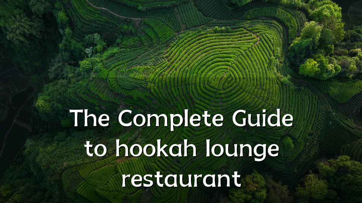 The Complete Guide to hookah lounge restaurant
