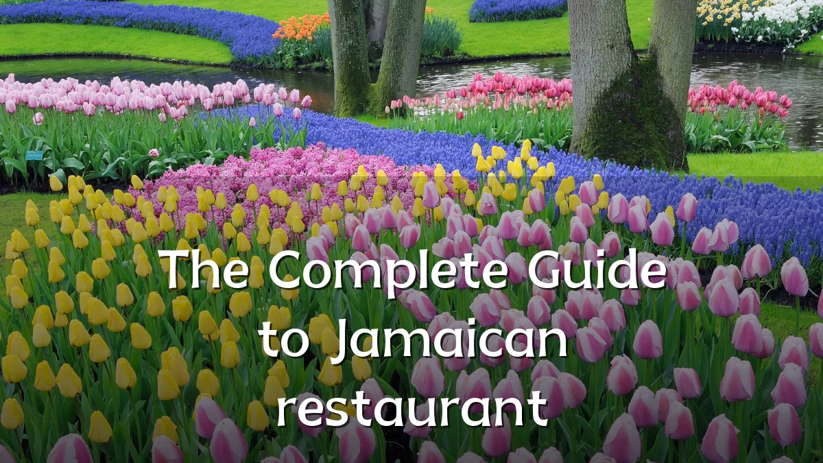 The Complete Guide to Jamaican restaurant