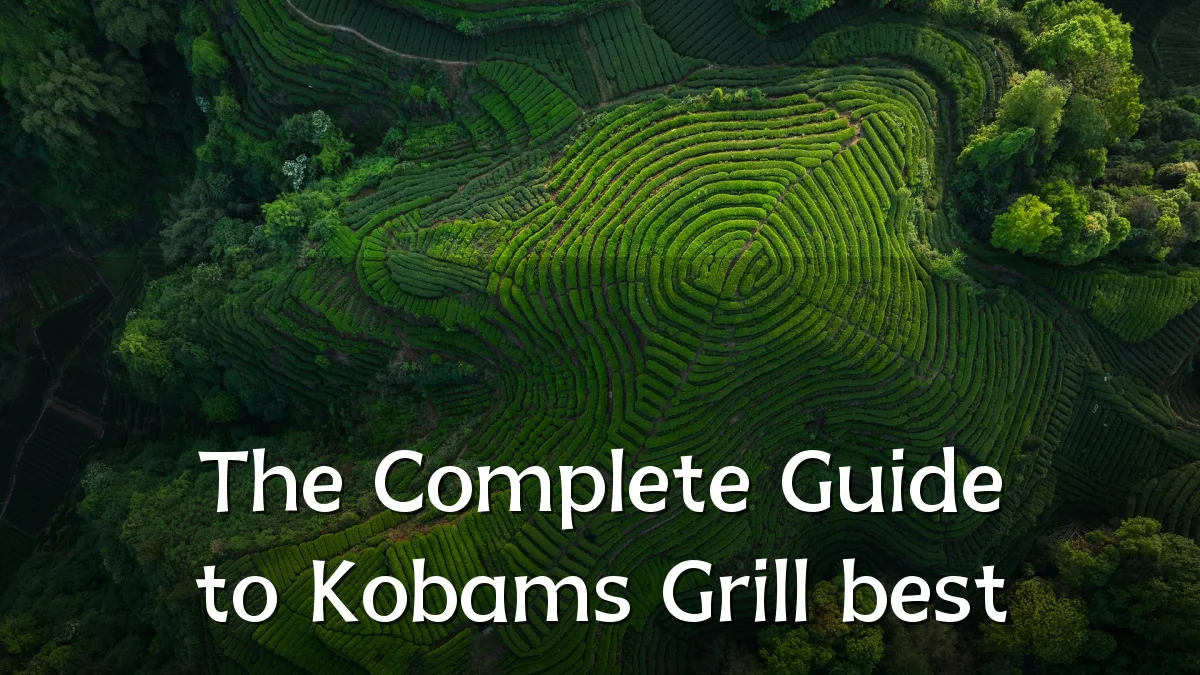 The Complete Guide to Kobams Grill best