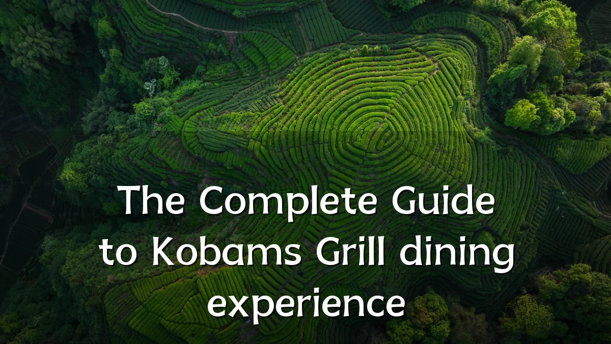 The Complete Guide to Kobams Grill dining experience