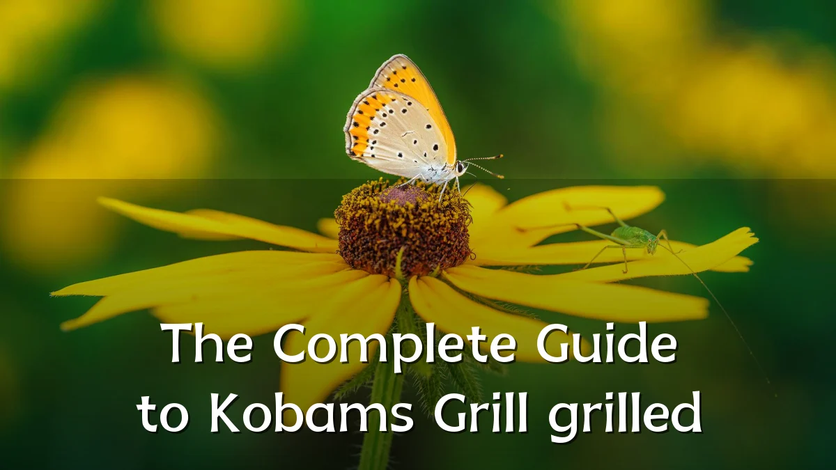 The Complete Guide to Kobams Grill grilled