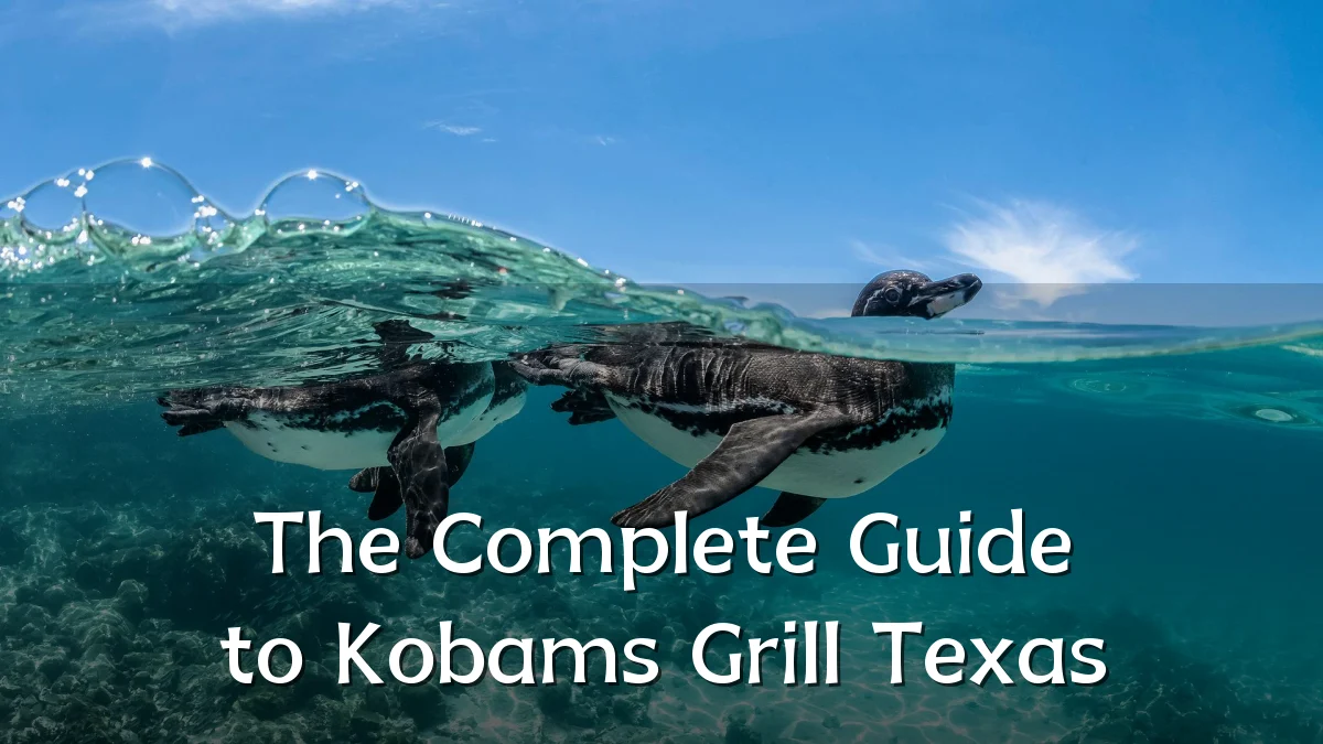The Complete Guide to Kobams Grill Texas