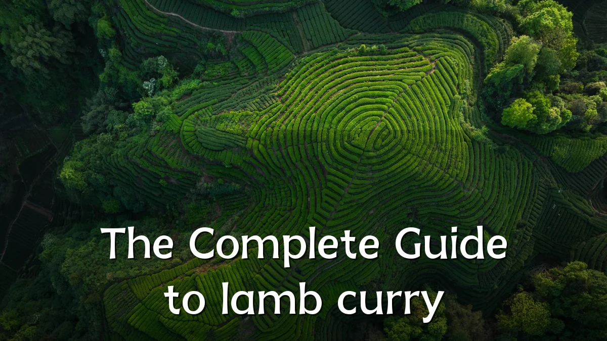 The Complete Guide to lamb curry