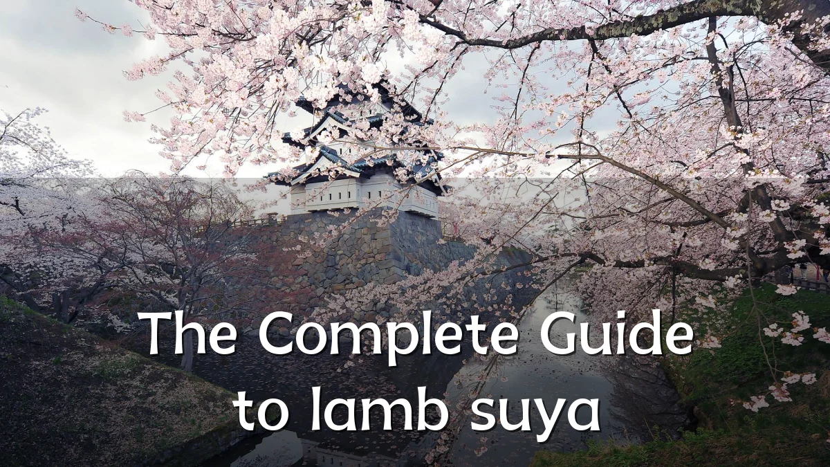 The Complete Guide to lamb suya