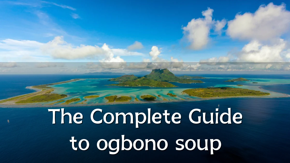 The Complete Guide to ogbono soup