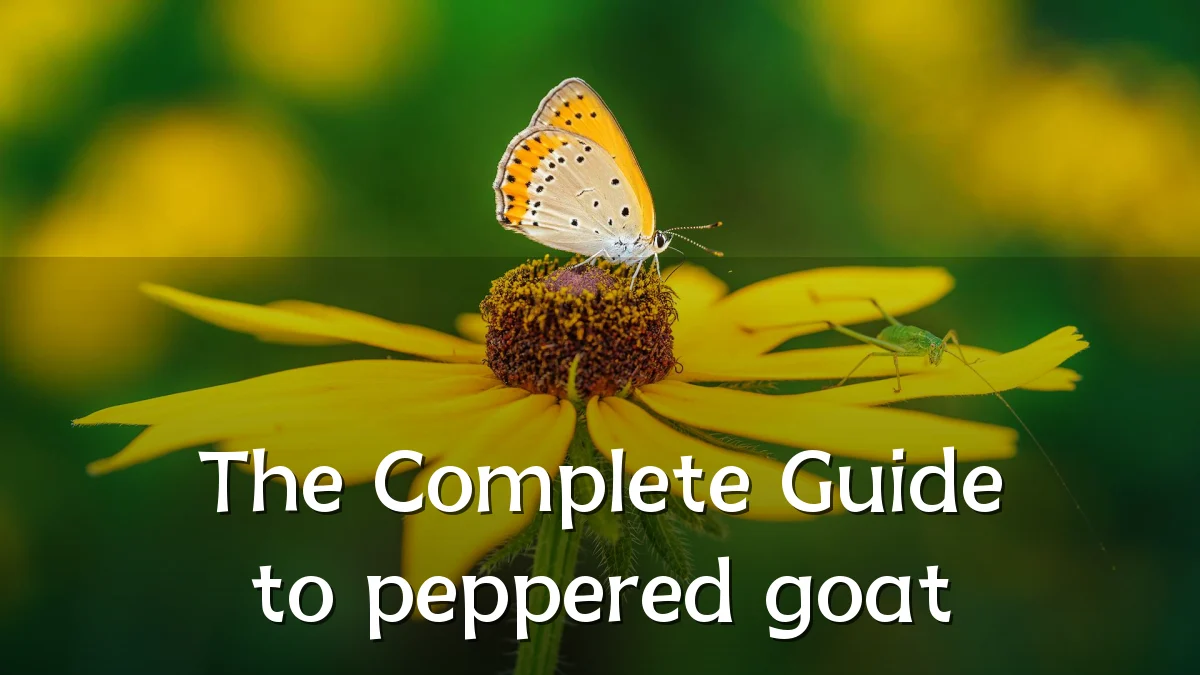 The Complete Guide to peppered goat