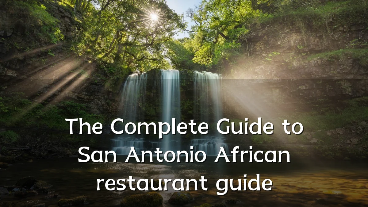 The Complete Guide to San Antonio African restaurant guide