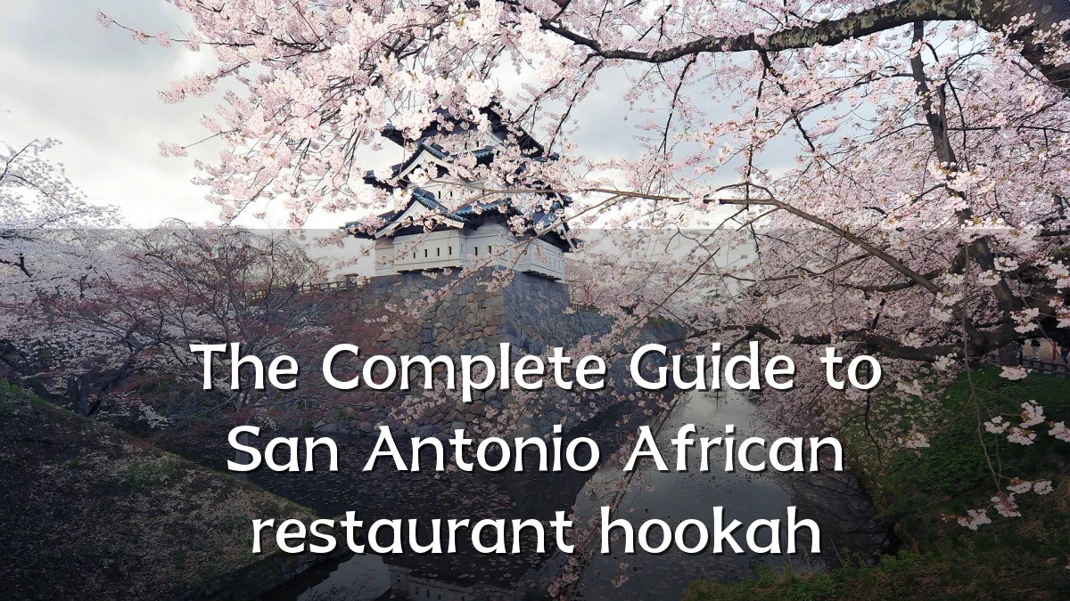 The Complete Guide to San Antonio African restaurant hookah
