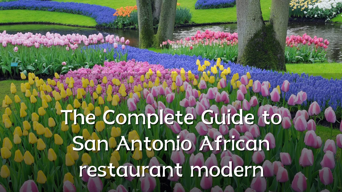 The Complete Guide to San Antonio African restaurant modern