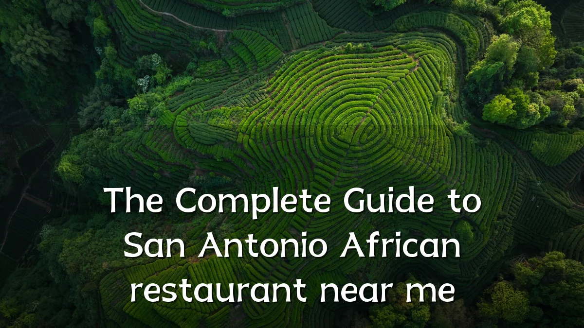 The Complete Guide to San Antonio African restaurant near me