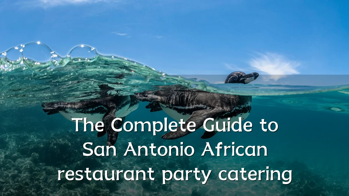 The Complete Guide to San Antonio African restaurant party catering