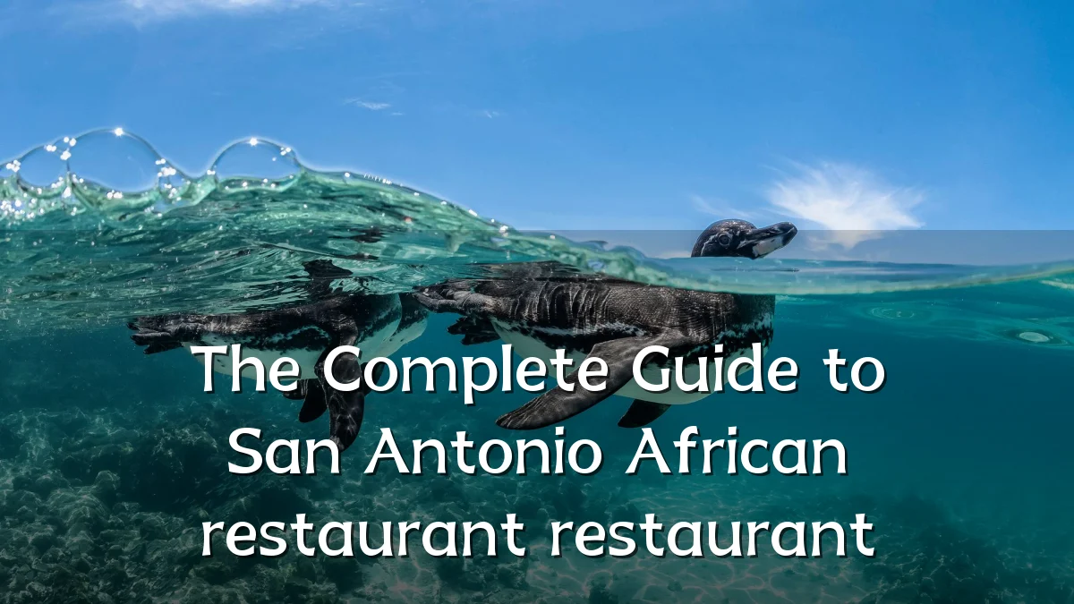 The Complete Guide to San Antonio African restaurant restaurant