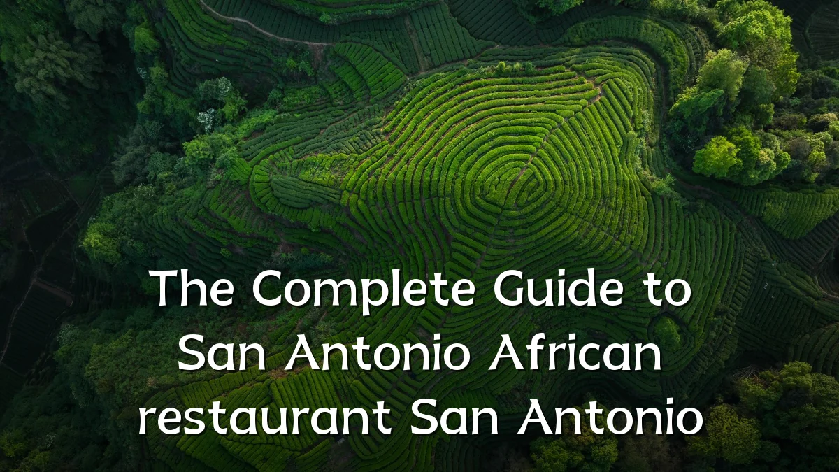 The Complete Guide to San Antonio African restaurant San Antonio