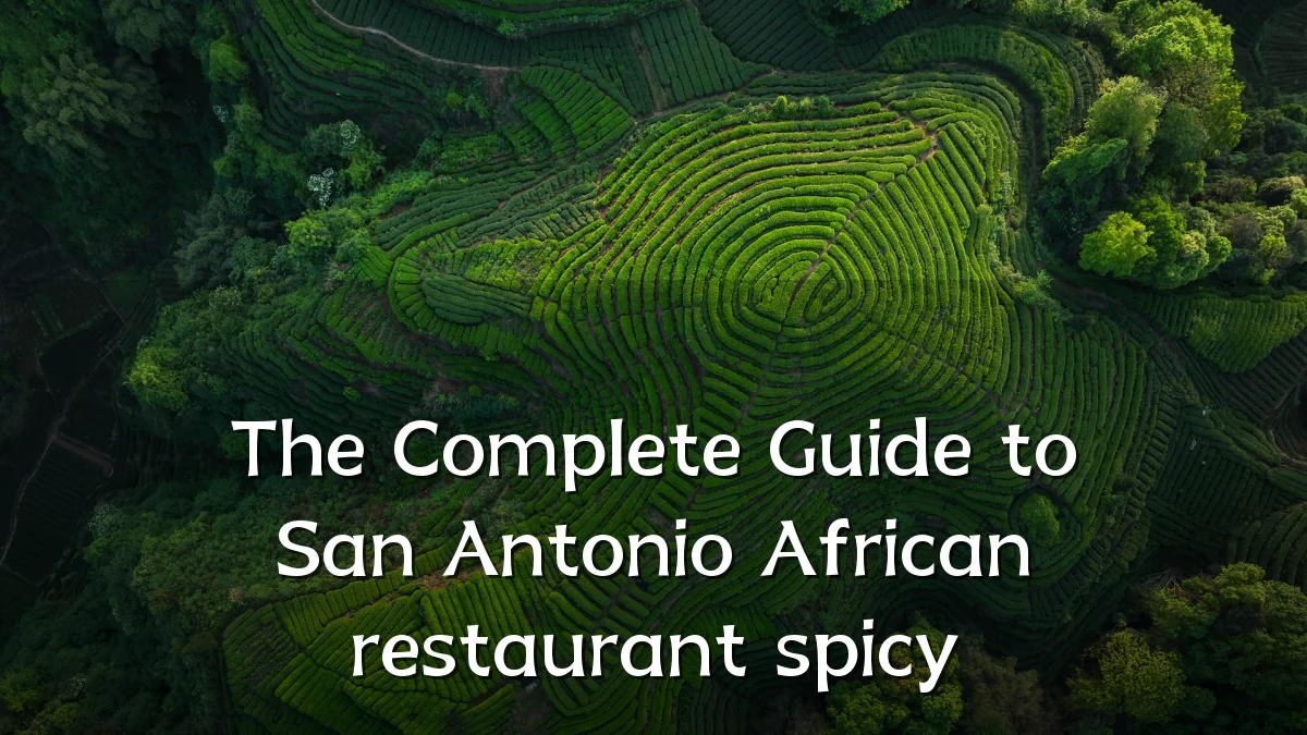 The Complete Guide to San Antonio African restaurant spicy