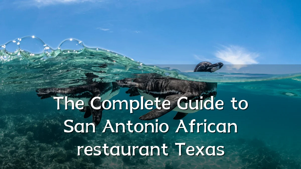 The Complete Guide to San Antonio African restaurant Texas