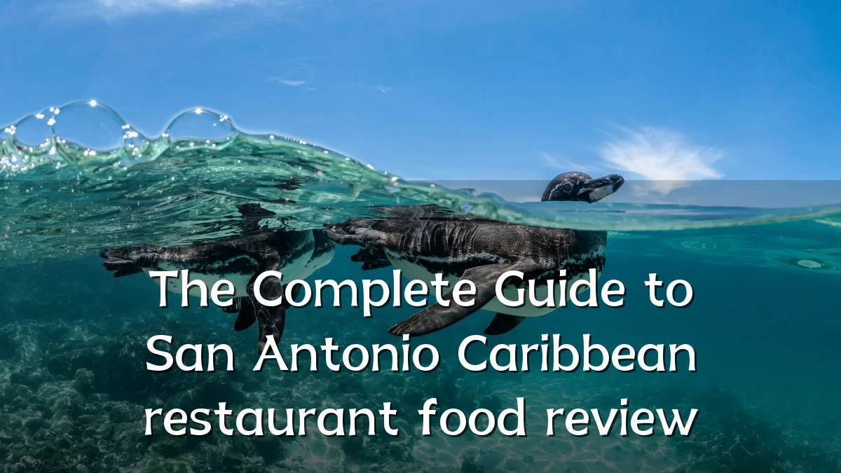 The Complete Guide to San Antonio Caribbean restaurant food review