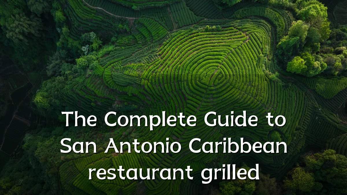 The Complete Guide to San Antonio Caribbean restaurant grilled