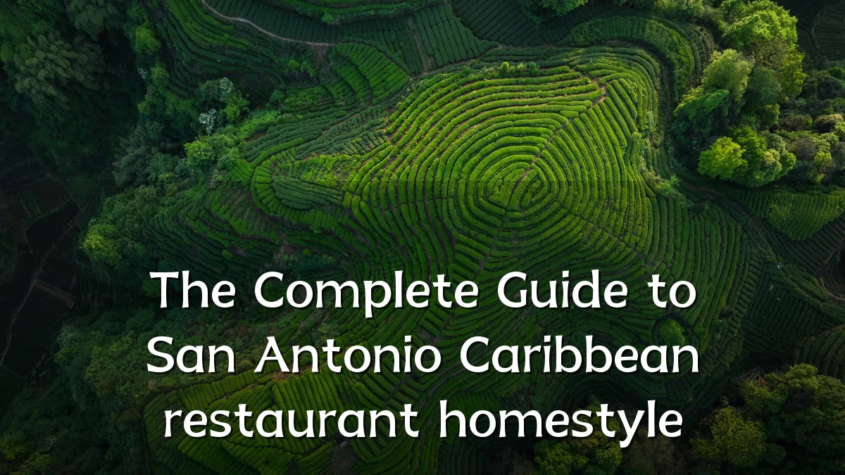 The Complete Guide to San Antonio Caribbean restaurant homestyle