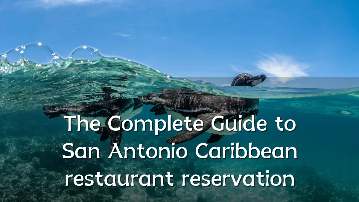 The Complete Guide to San Antonio Caribbean restaurant reservation