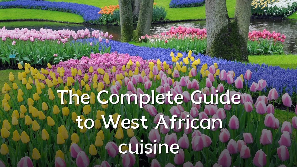 The Complete Guide to West African cuisine