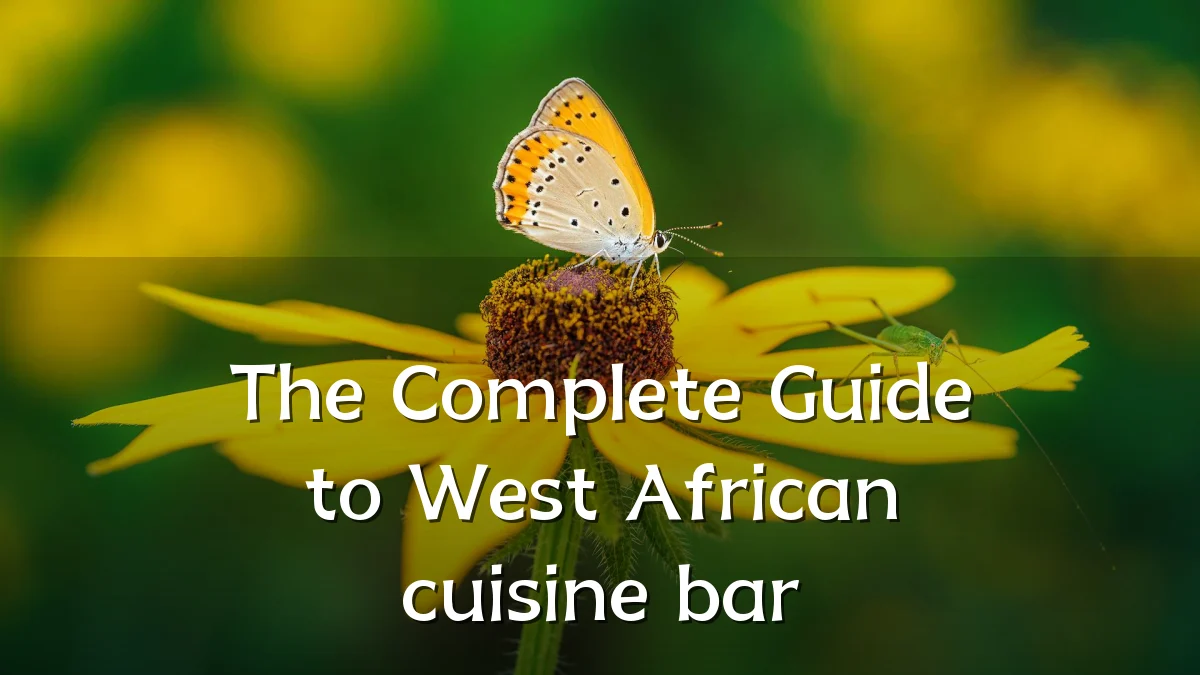 The Complete Guide to West African cuisine bar