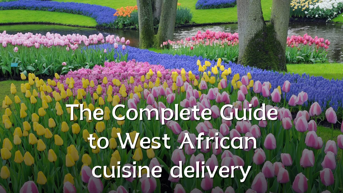 The Complete Guide to West African cuisine delivery