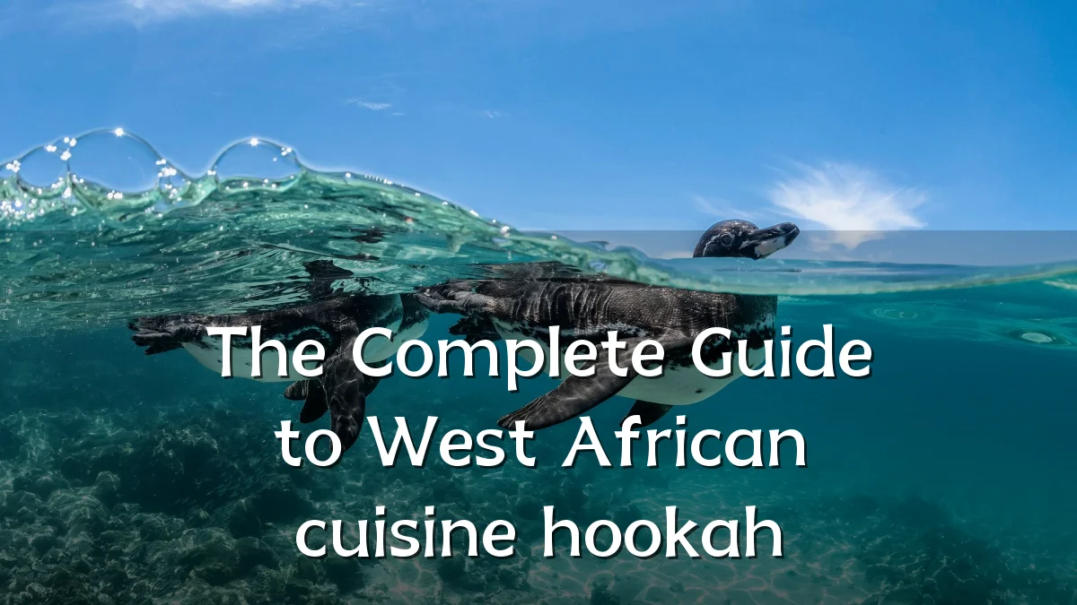 The Complete Guide to West African cuisine hookah