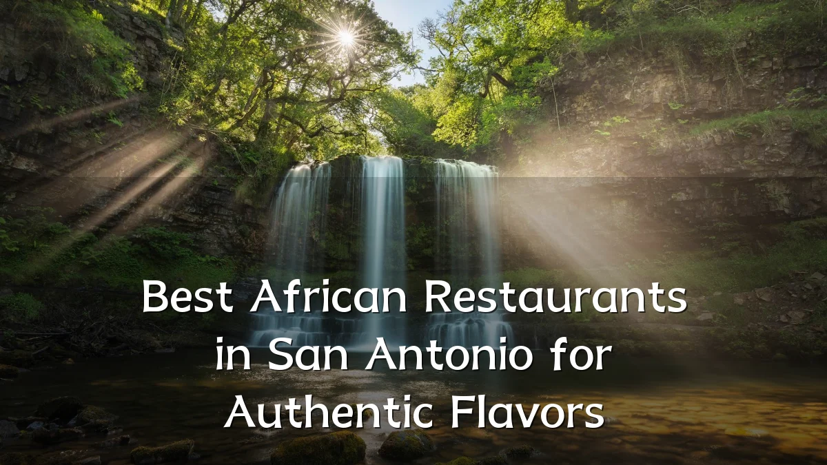 Best African Restaurants in San Antonio for Authentic Flavors