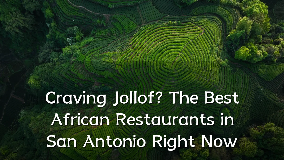 Craving Jollof? The Best African Restaurants in San Antonio Right Now