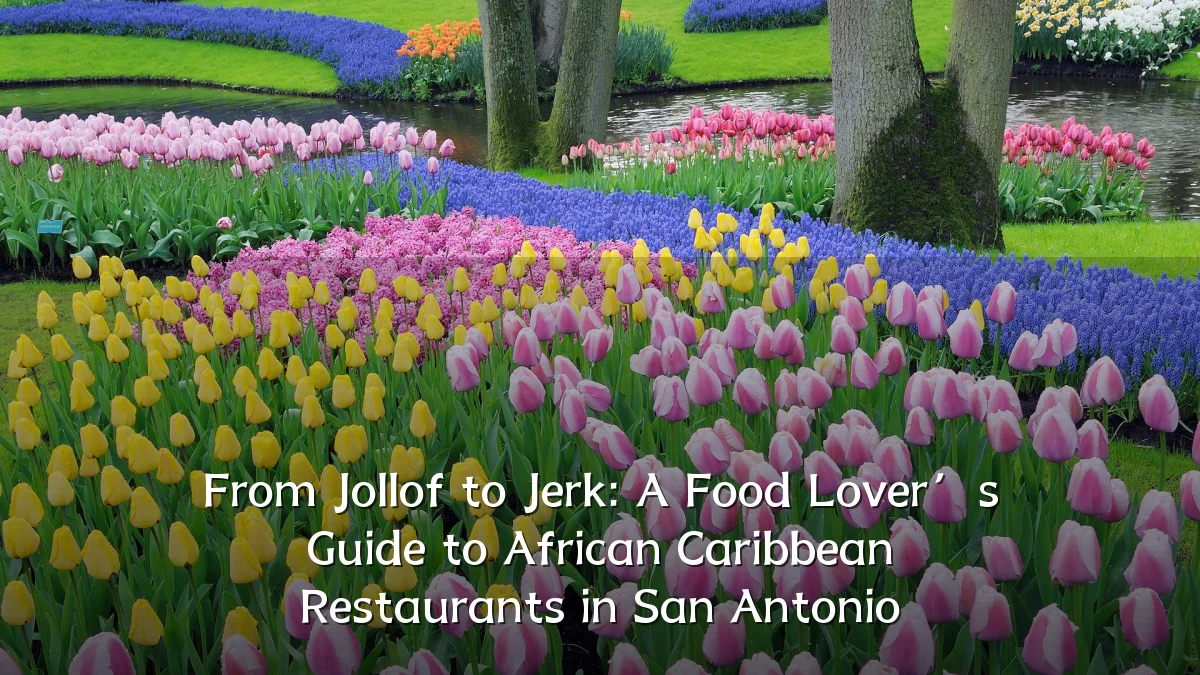 From Jollof to Jerk: A Food Lover’s Guide to African Caribbean Restaurants in San Antonio